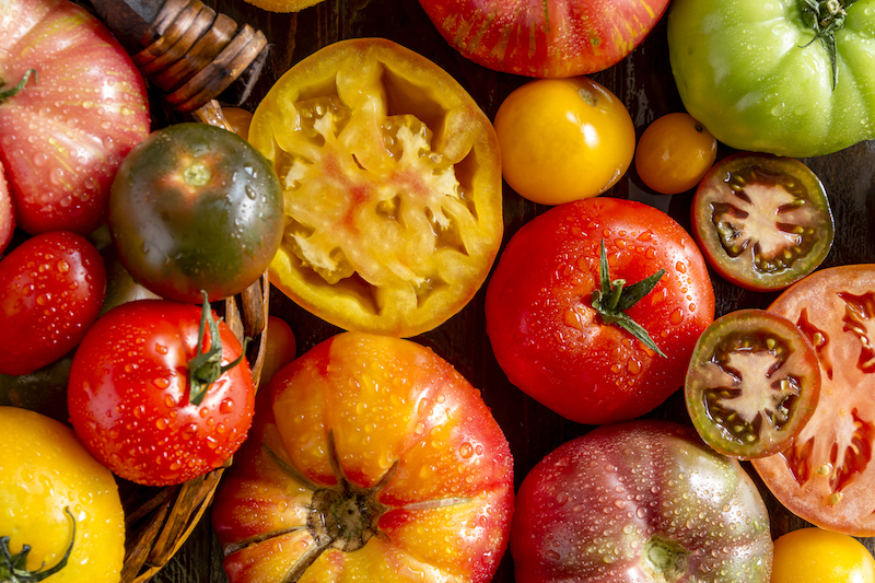 variety of colored tomatoes