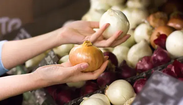 Person comparing onions in a grocery store