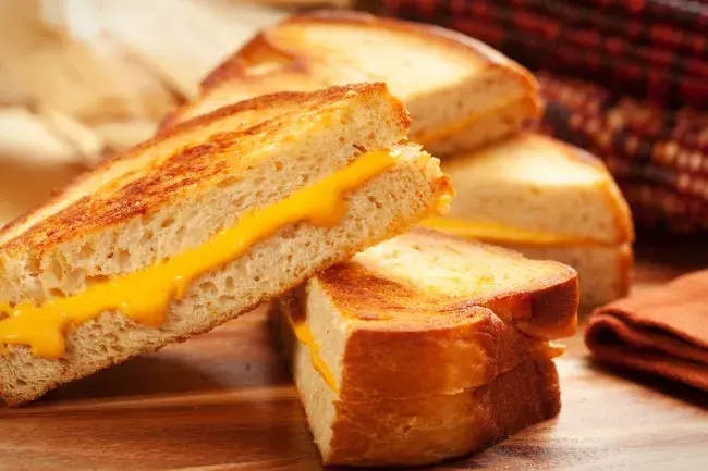 Close-up of grilled cheese sandwiches with melted cheddar